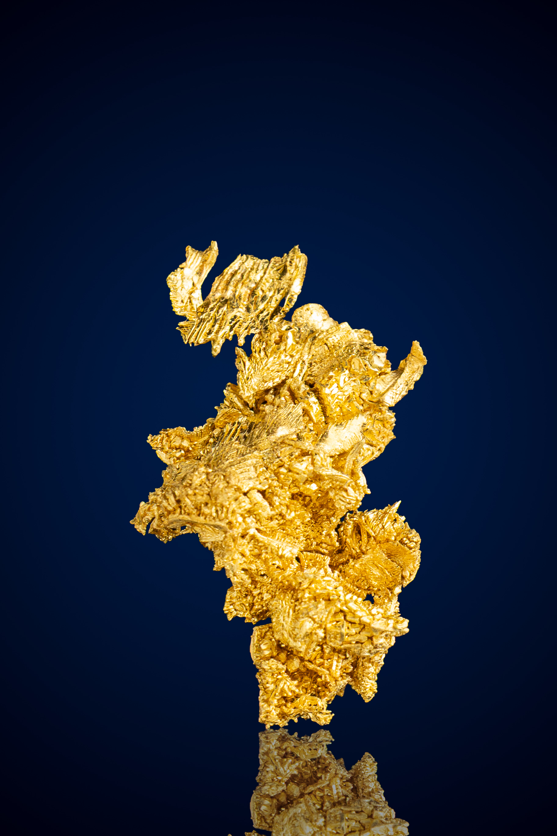 (image for) Magnificent, Shimmering Crystallized Gold Nugget - Round Mountain, NV - 1.82 grams